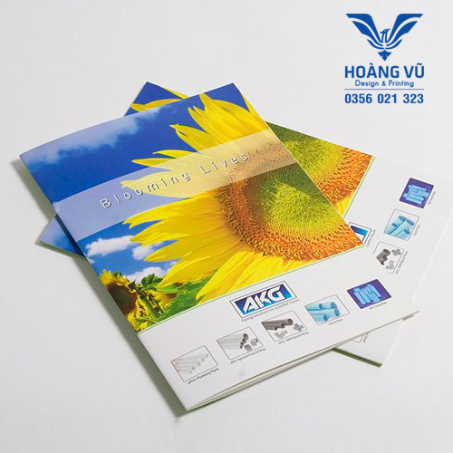 Catalogue 1