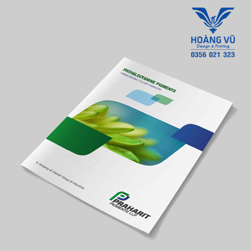 Catalogue 7